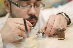 格林汉姆如何鉴定手把手教学（辨别真伪的实用指南）